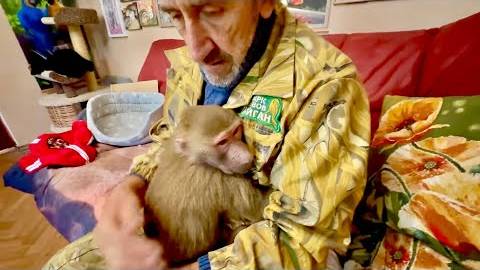 Я ругаю Люську за то, что она загоняла Влада, а она прижалась к его сердцу