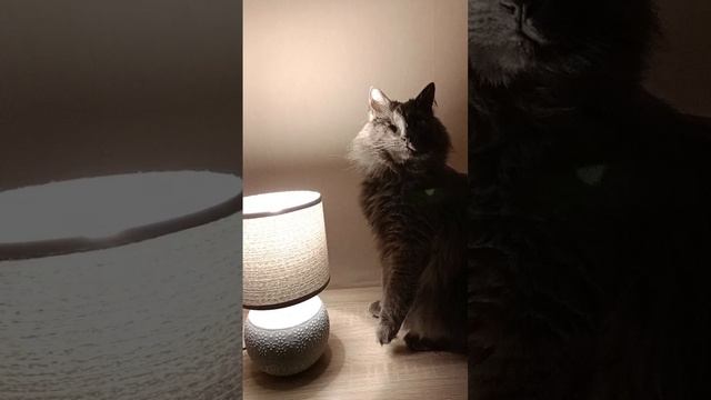 1000030629.mp4