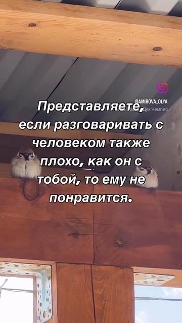 Представляете