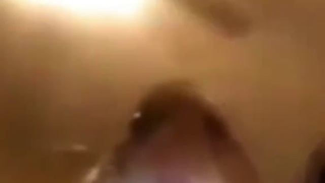 прикольный хомяк