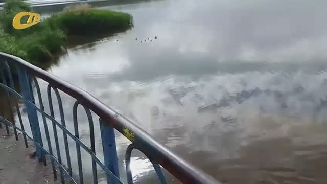 ЖЕЛЕЗНОГОРЕЦ ЗАСНЯЛ УТИНОЕ СЕМЕЙСТВО НА ВОДОСЛИВЕ