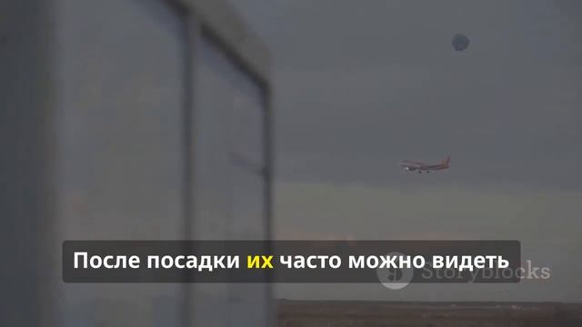 как работает самолет? секреты авиации.