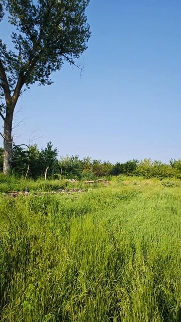 Агроном СНТ 4 сотки