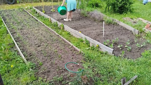 Как улучшить почву после дождя