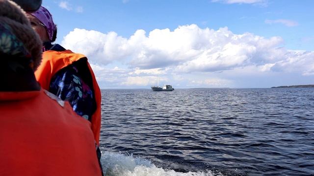 Погуляли по линии Маннергейма на  Хейнясенма. Ждем, лодку с Норда. Суббота, 31 мая 2025 г
