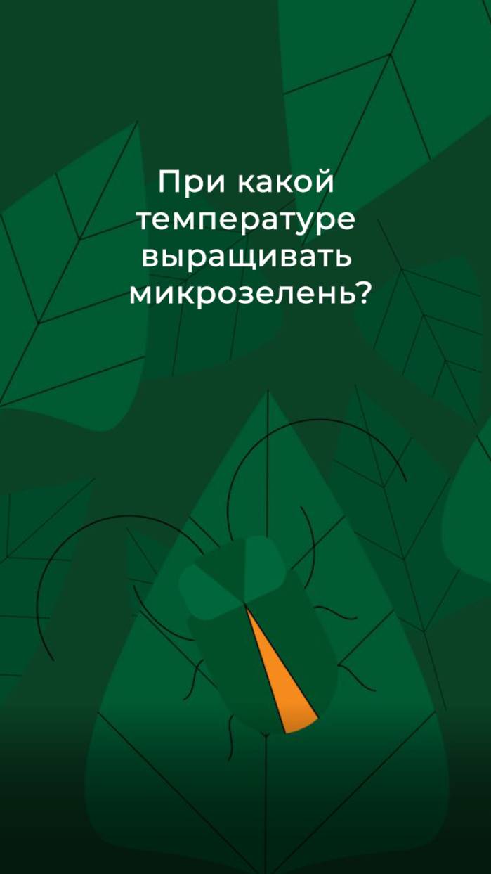 При какой температуре выращивать микрозелень?