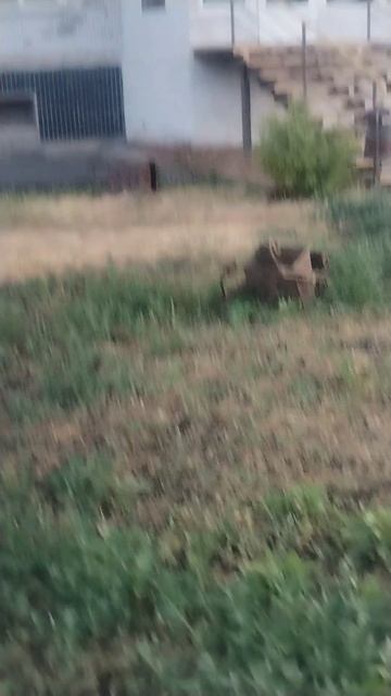 Нашол две мусорки