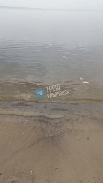 😢 Массовый "наплыв" влажных салфеток у берега за Моторным заводом. Начало купального сезона...  👍