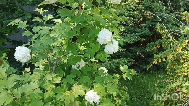 Ура👍Лето🌝Каникулы👏Прогулка по Кольцово