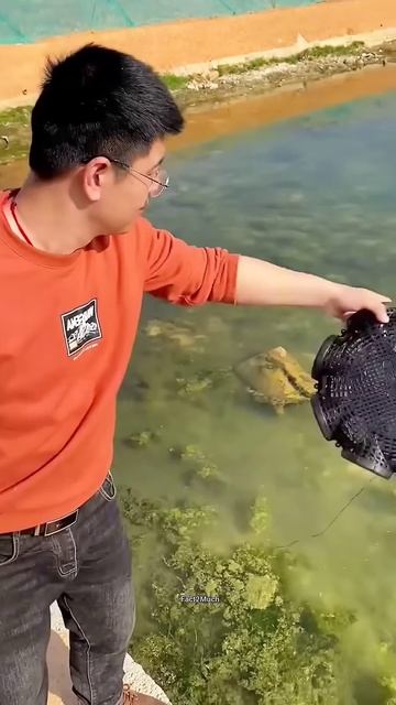 This Man catch many fish #shortsvideo