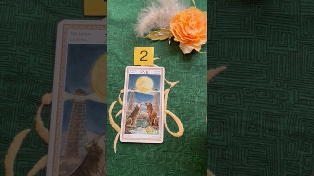 Подсказки на каждый день#Таро#