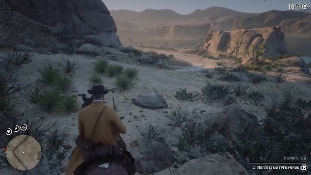 Red Dead Redemption 2_карта сокровищ в желудке гремучей змеи