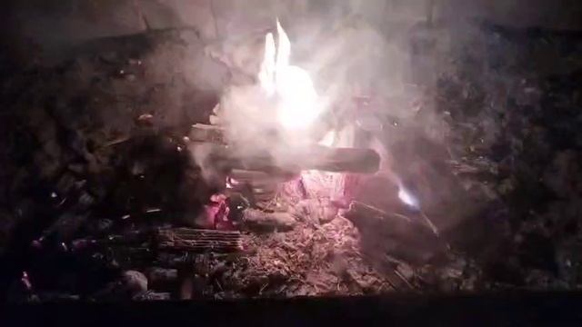 VID-20250604-WA0063.mp4