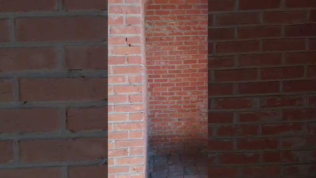 1000004486.mp4