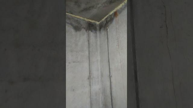 1000029539.mp4