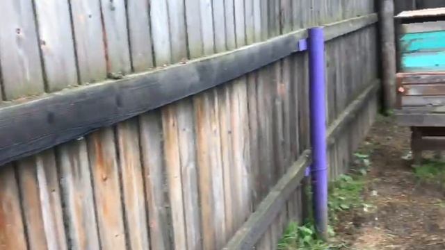 4 ИЮНЯ ОБСТАНОВКА НА ПАСЕКЕ У ДОМА