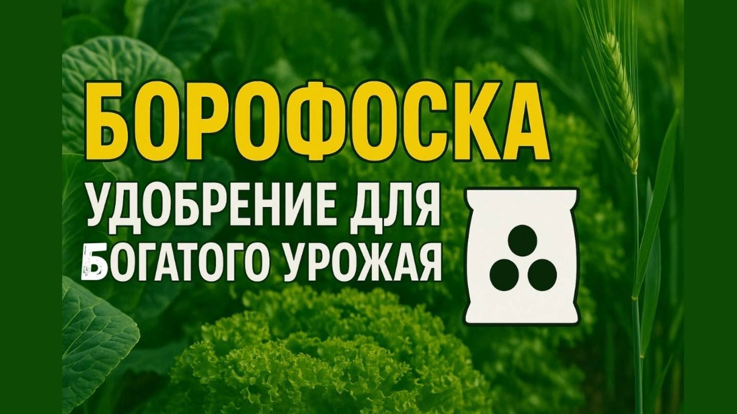 Борофоска — Удобрение, Которое Реально Улучшит Рост Растений и Повысит Урожай