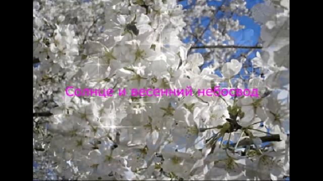 Кружится вишневая метель