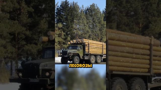 приходит как то мужик на лесоповал..