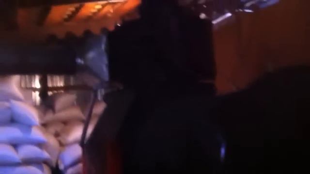 сушилка для щепы