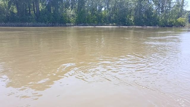 Разведка по большой воде, река Обь👍
