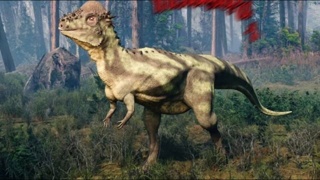 где и за кого меня можно встретить в игре the cursed isle