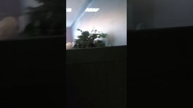 Дверь в ресторане_видео