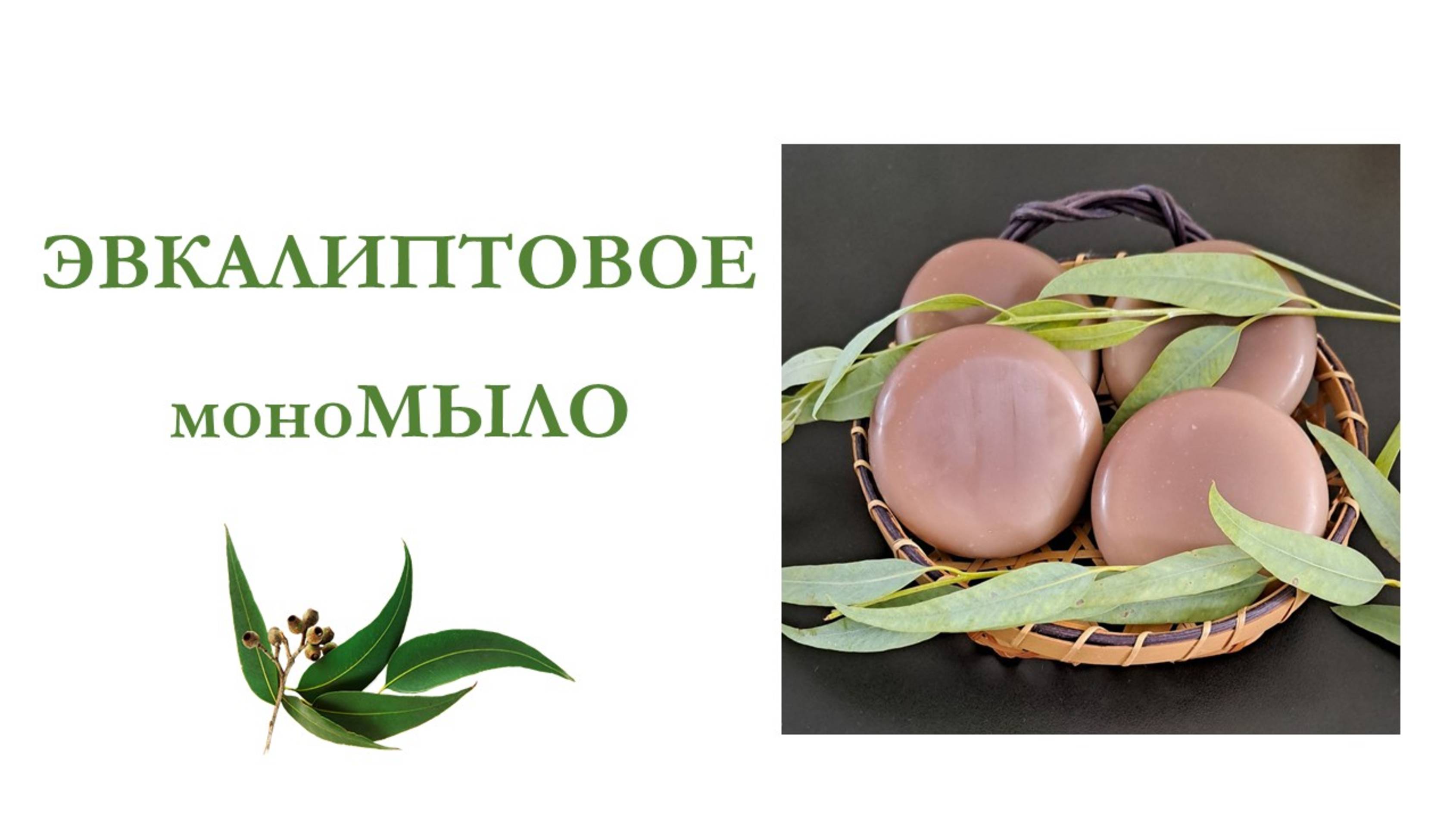 Эвкалиптовое мономыло