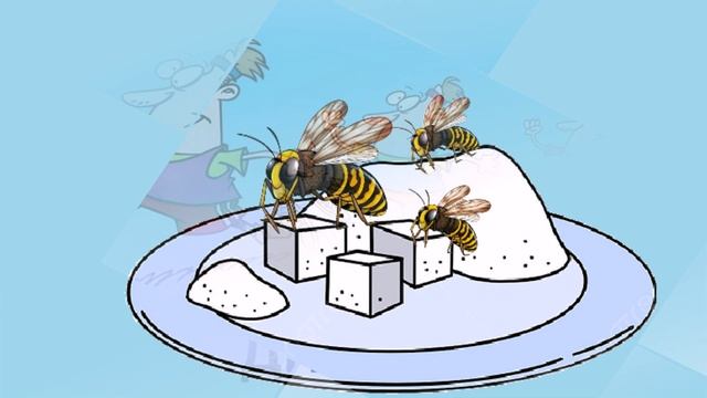 Международный день бега