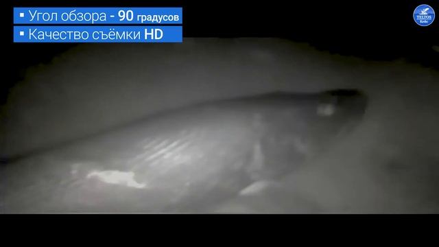 Видеообзор с тест-драйвом подводной камеры Teltos