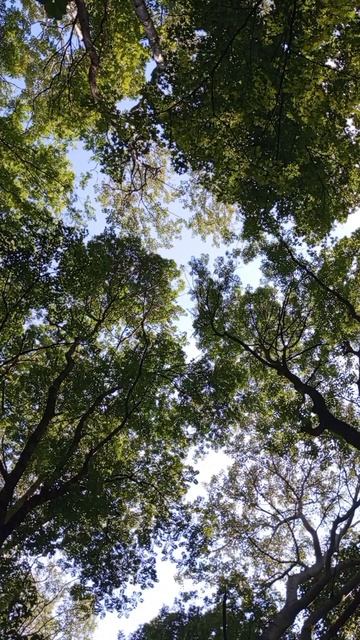 04.06.2025 #сегоднятак #сегодня #природа #nature #oggicosì #бүгін #oggi #hoy #今日 #today #오늘 #자연 #自然