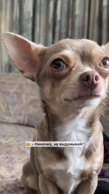 Ниночка