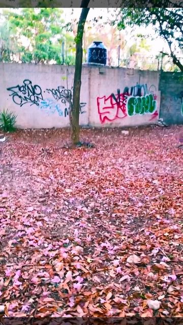 03-06-2025. В старом парке