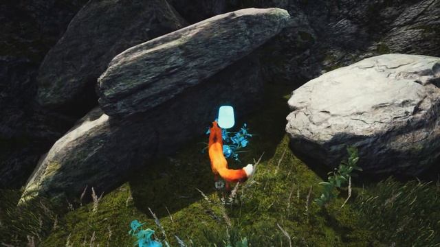 ПРОХОЖДЕНИЕ SPIRIT OF THE NORTH\ДУХ СЕВЕРА! ЛИСИЧКА И ИСЛАНДСК?