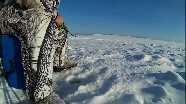 Рыбалка 23 января 2017 года.