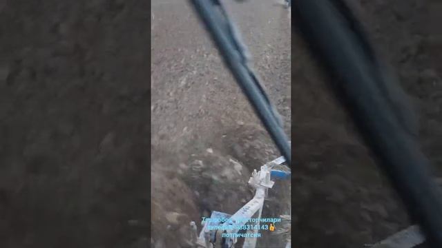 Трактор лев