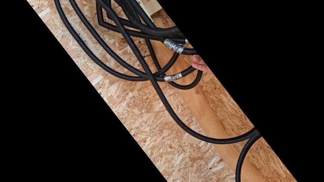 1000025392.mp4 (Собака смотрит на электроснабжение нового дома А-фрейм)