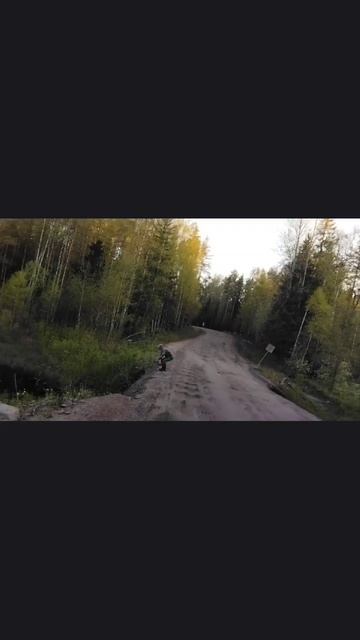 лесная Карельская речка