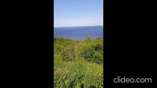 Волга мост-течёт река Волга 03.06.2025