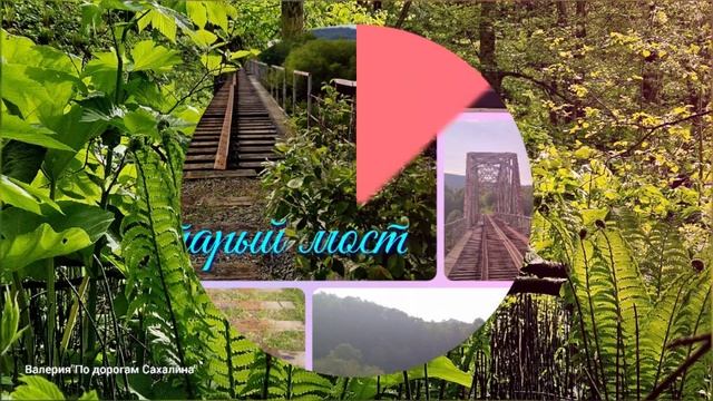 Быковские пороги, японская архитектура, заброшенный мост и старые самолёты, 03.06.2025г.