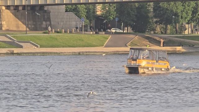 Великий Новгород 03.06.25 г.