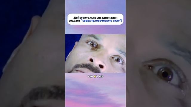 А вы это знали?