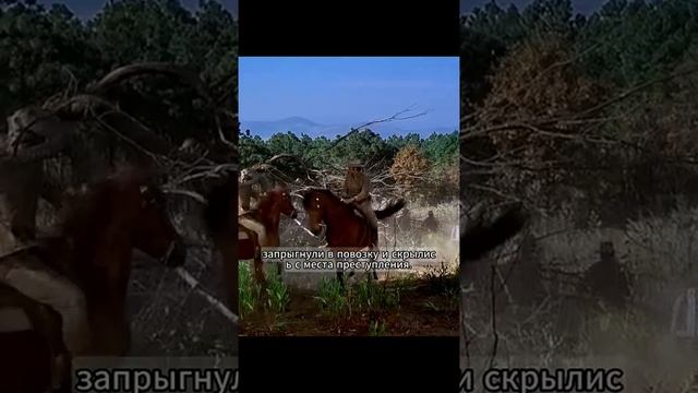 А вы это знали?
