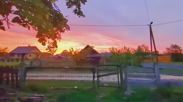 РАЗГРЕБАЮ БАРДАК // КАК БЕЛКА В КОЛЕСЕ
