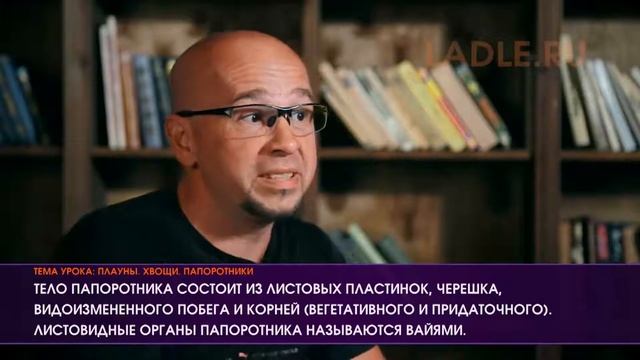 Плауны Хвощи Папоротники. Биология 5 класс. Споровые сосудистые растения.Характеристика Строение ЕГЭ