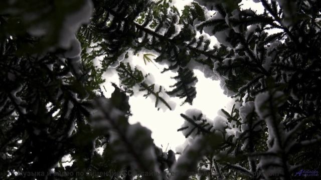Ритмы поднимают над землёй и несут сквозь леса - Above The Clouds -- Kirk Osamayo -- Season Two (PUR