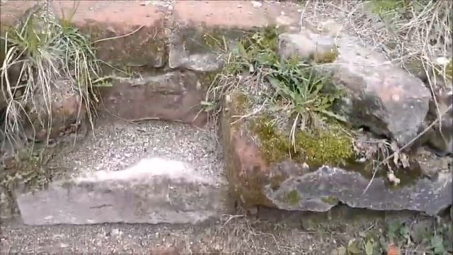 Поездка в Далматово. Прогулка по крепости и монастырю
