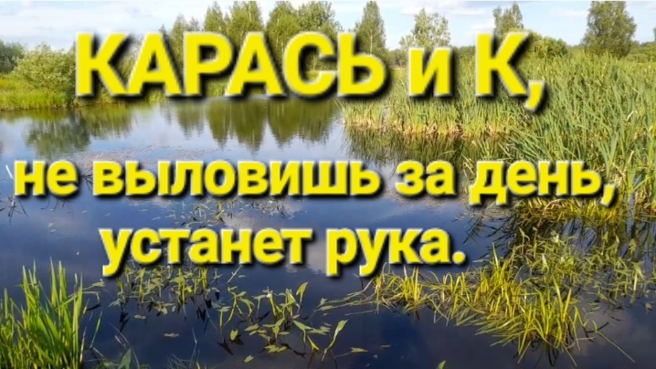 КАРАСЬ и К, не выловишь за день, устанет рука..