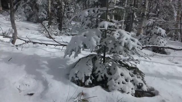 На гору Лопата в останній день зими 2021