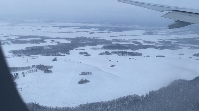Посадка Красноярск 14.02.2023